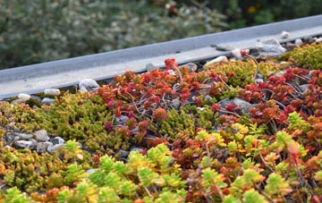 the cost of Fernhill Heath green roof installation