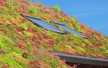 Fernhill Heath living roof systems