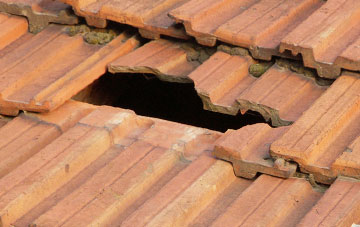 roof repair Fernhill Heath, Worcestershire