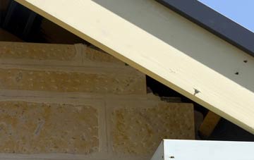 soffit repair Fernhill Heath